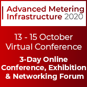 Advanced Metering Infrastructure 2020 (virtual conference)